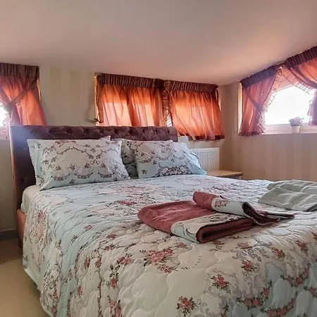 Novel 1 Luxury Apt شقة *